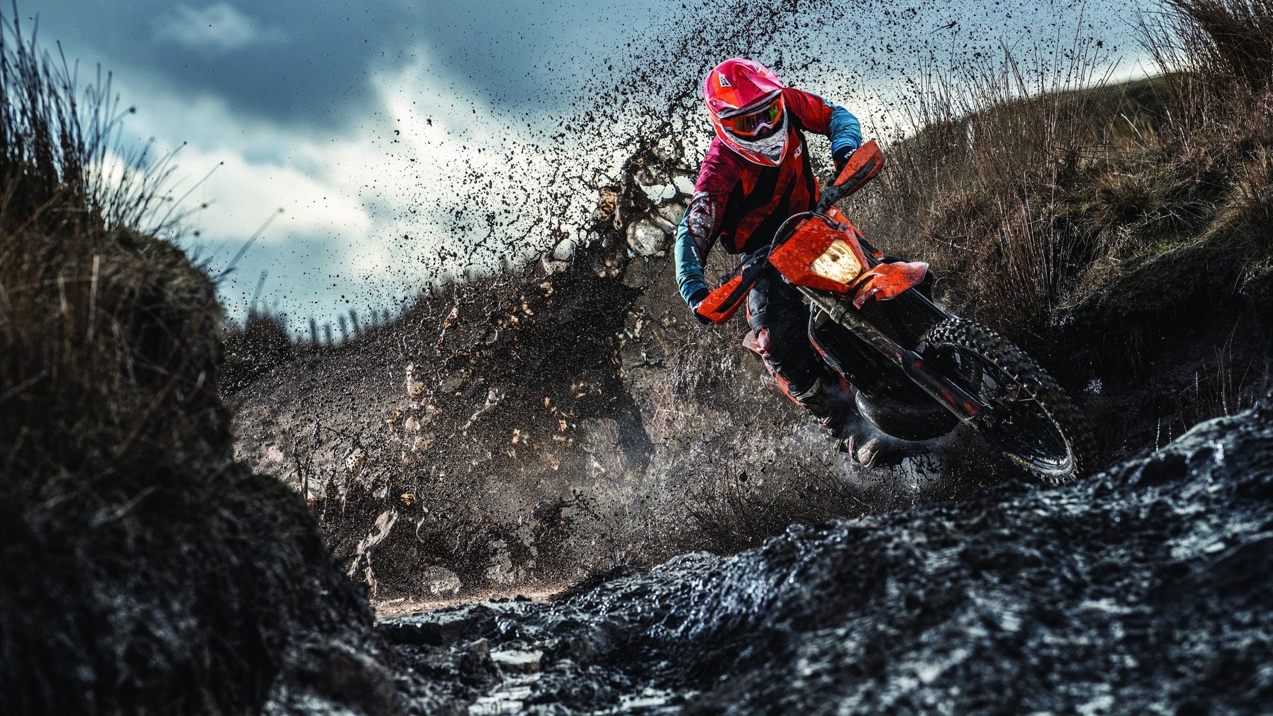 女子棒球世界杯 中国女垒借棒球联赛备战 达到一举两得效果